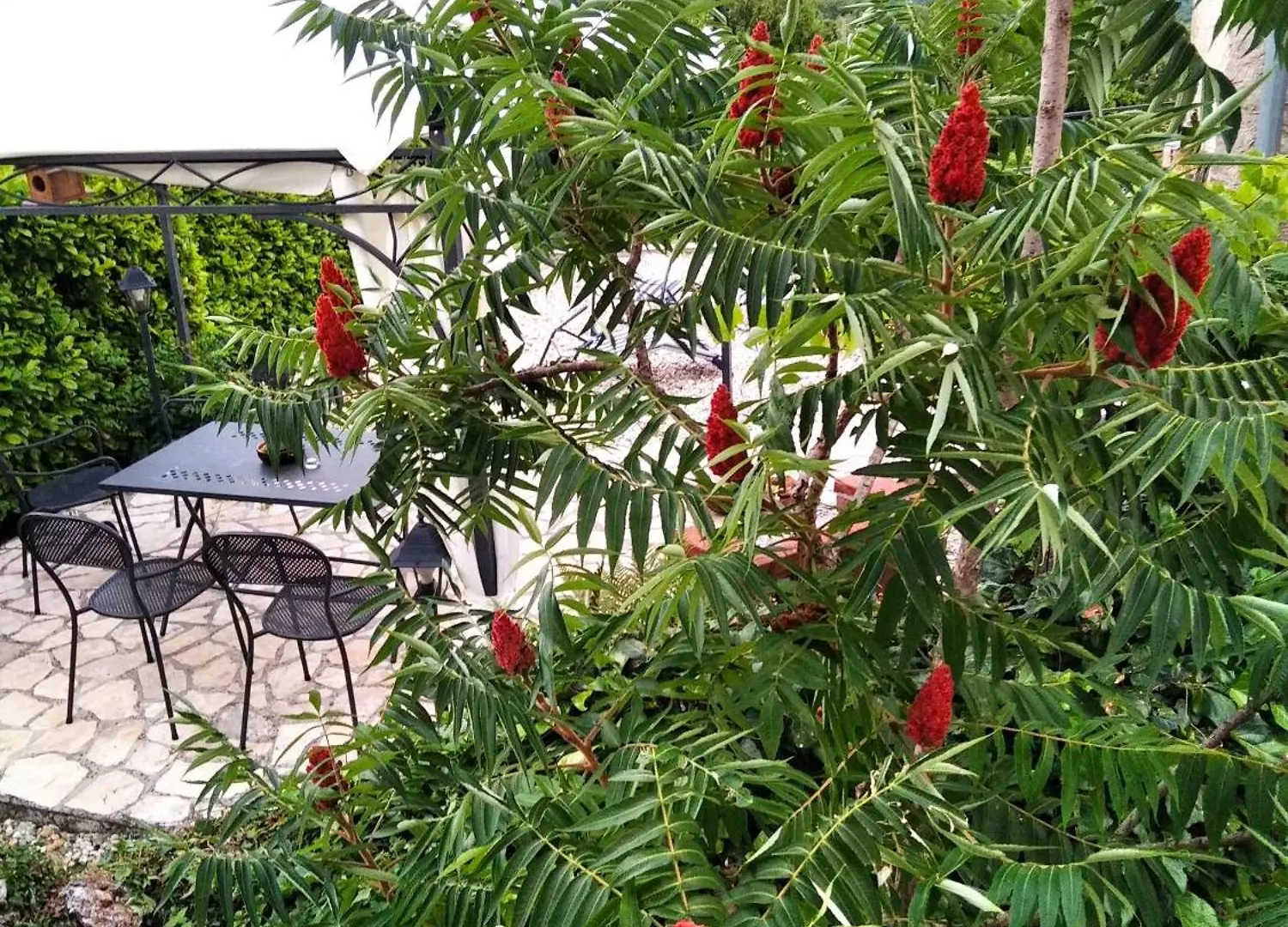 Holiday Home In Dobrec 15115 Croatia
